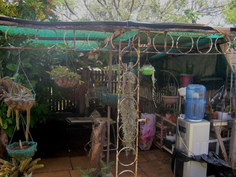 30 Wilkes Road, Wilkesdale QLD 4608