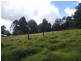 Lot 41 Bunya Mountains Road, Bunya Mountains QLD 4405