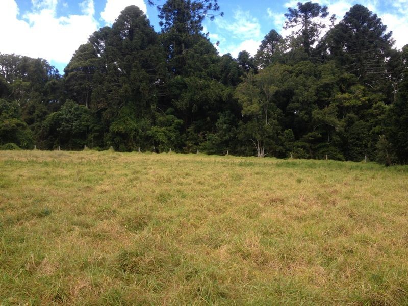 Lot 41 Bunya Mountains Road, Bunya Mountains QLD 4405