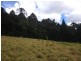 Lot 41 Bunya Mountains Road, Bunya Mountains QLD 4405
