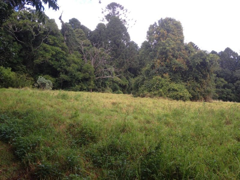 Lot 41 Bunya Mountains Road, Bunya Mountains QLD 4405