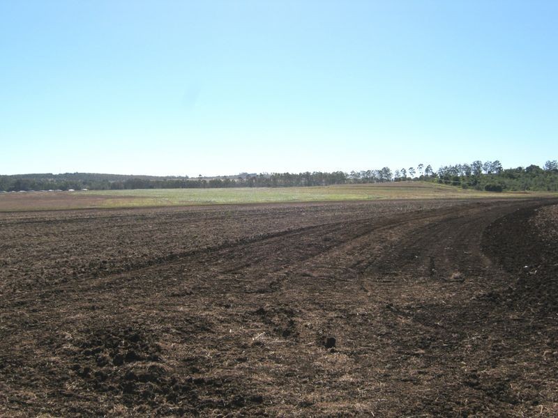 12130 Bunya Highway, Memerambi QLD 4610