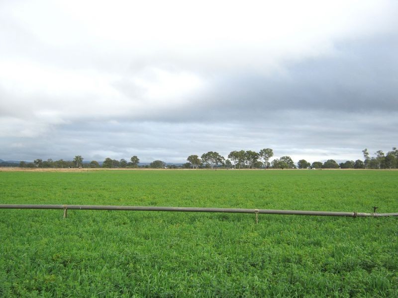 466 Wheatlands Loop Road, Wheatlands QLD 4606