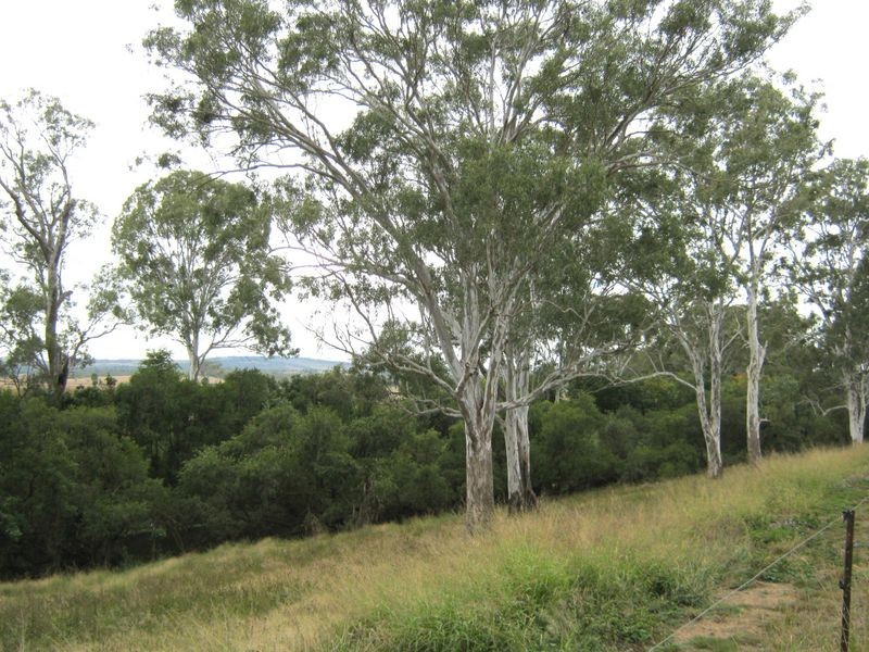 466 Wheatlands Loop Road, Wheatlands QLD 4606