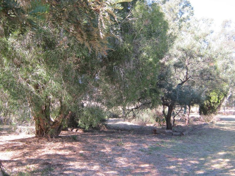 412 Haly Creek Road, Haly Creek QLD 4610