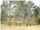 483 Wattlecamp Road, Wattle Camp QLD 4615
