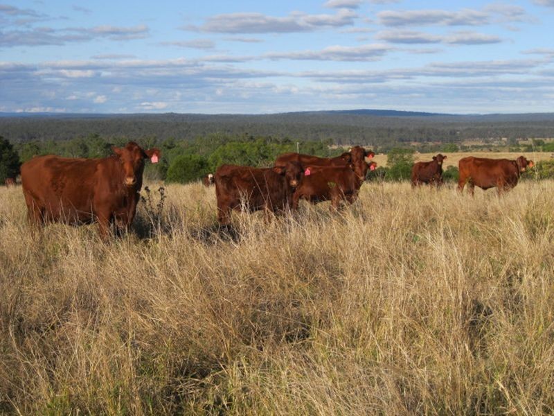 Lot 438 Dowers Road, Tingoora QLD 4608