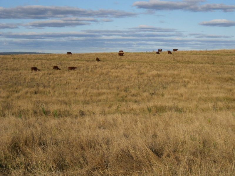 Lot 438 Dowers Road, Tingoora QLD 4608