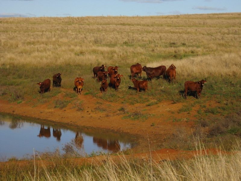 Lot 438 Dowers Road, Tingoora QLD 4608