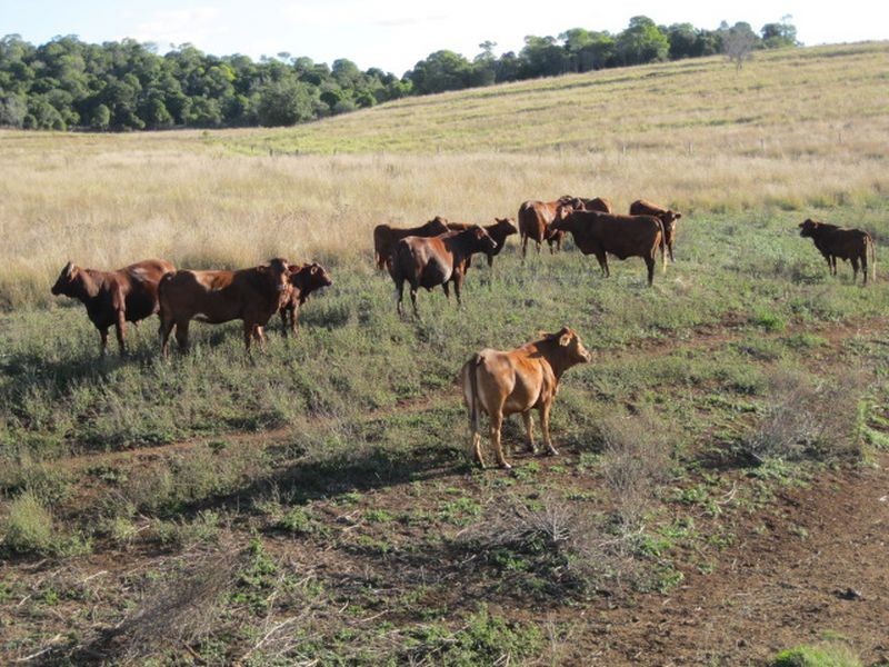 Lot 438 Dowers Road, Tingoora QLD 4608