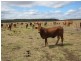 177 Cants Road, Wooroolin QLD 4608