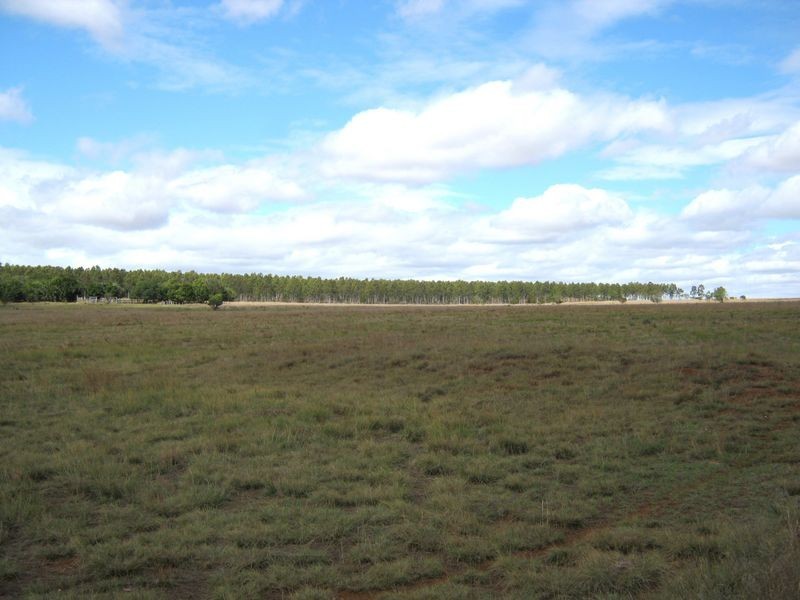 177 Cants Road, Wooroolin QLD 4608