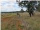 177 Cants Road, Wooroolin QLD 4608