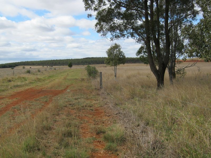 177 Cants Road, Wooroolin QLD 4608
