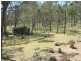 145 Brooklands Pimpinbudgee Road, Brooklands QLD 4615