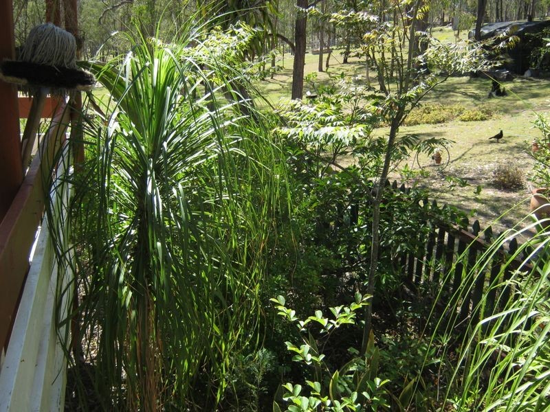 145 Brooklands Pimpinbudgee Road, Brooklands QLD 4615