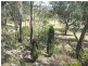 145 Brooklands Pimpinbudgee Road, Brooklands QLD 4615