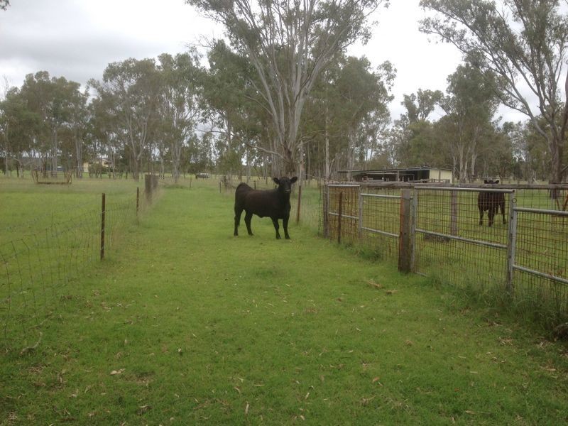 10 Weeks Road, Kingaroy QLD 4610