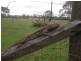10 Weeks Road, Kingaroy QLD 4610