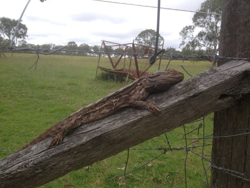 10 Weeks Road, Kingaroy QLD 4610