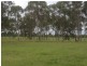 10 Weeks Road, Kingaroy QLD 4610