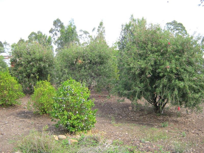 121 Pring Street, Wondai QLD 4606