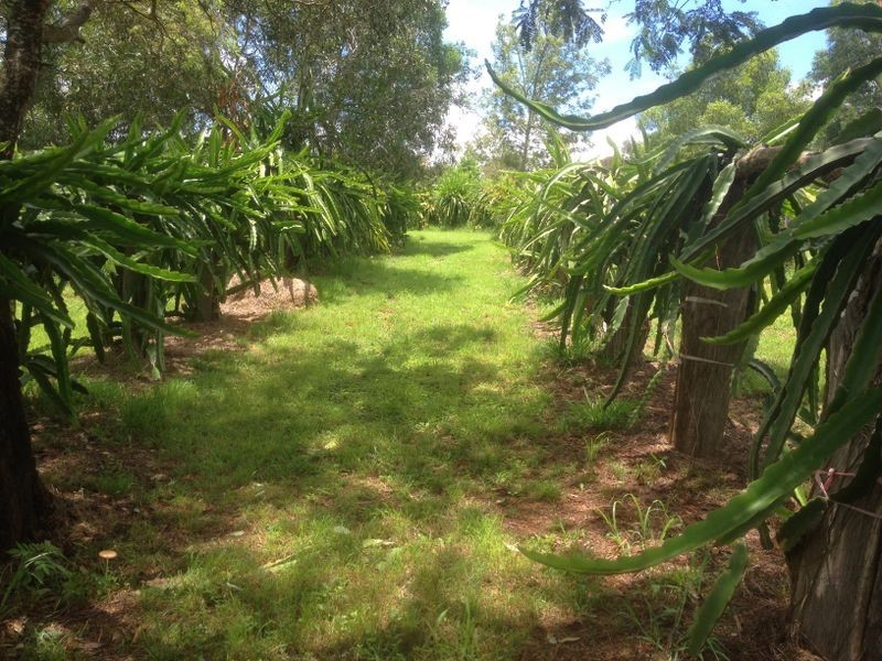 76 Brights Road, Nanango QLD 4615