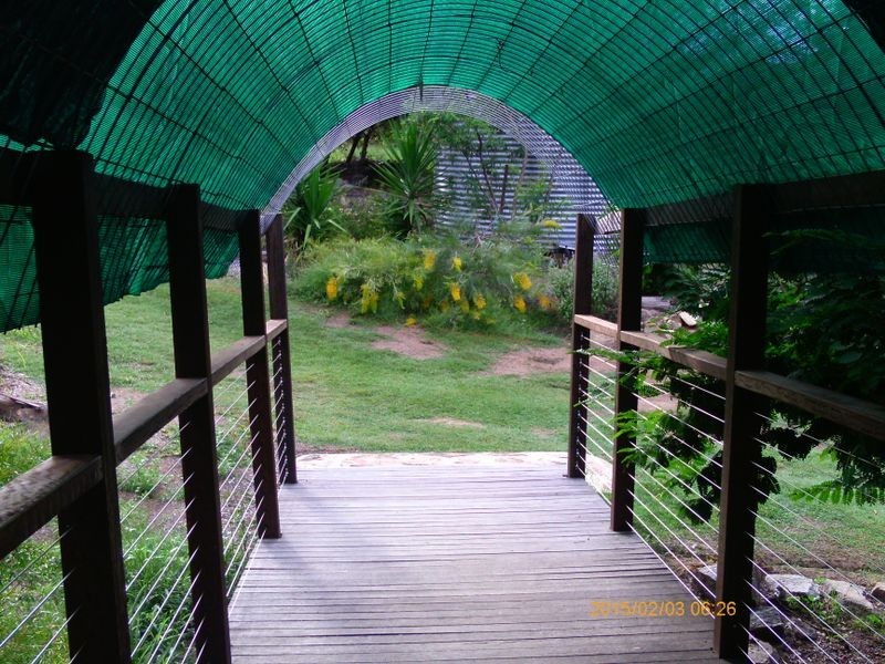 82 Currawong Drive, Tingoora QLD 4608