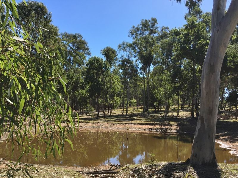 176 Brocklehurst Road, Wattle Camp QLD 4615