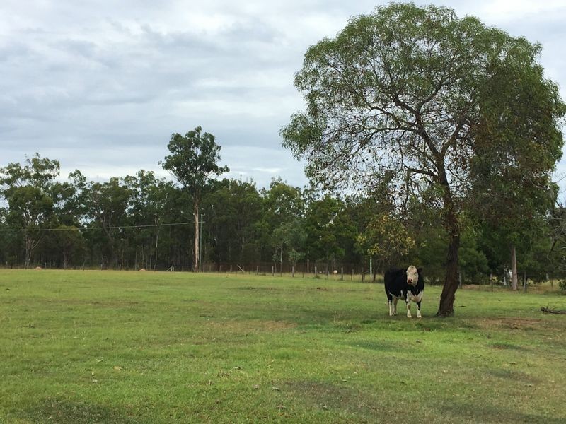 978 River Road, Kingaroy QLD 4610