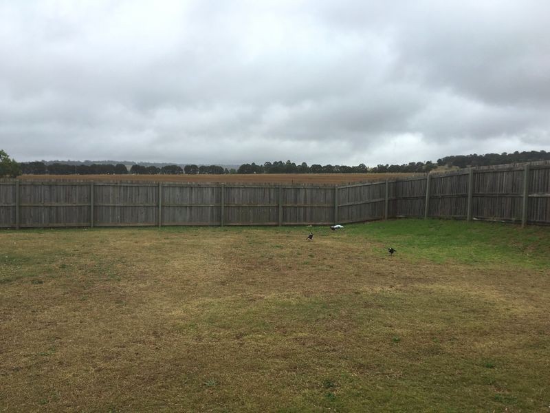 56 Frangipani Drive, Kingaroy QLD 4610