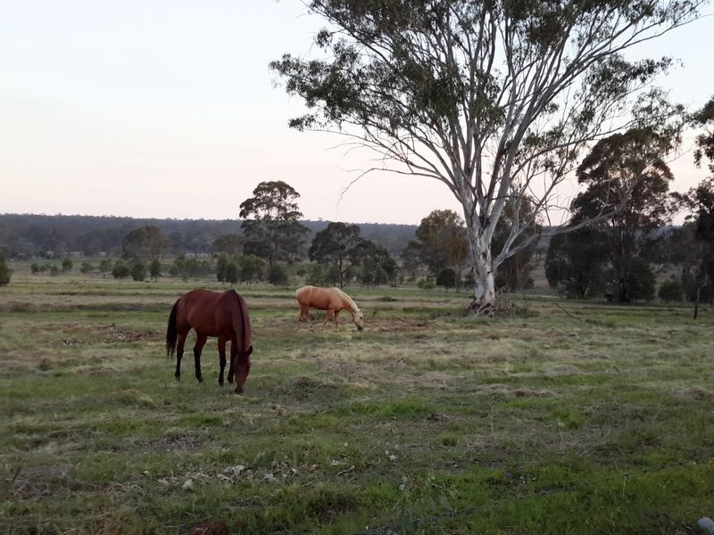 161 Greenview Road, Wondai QLD 4606