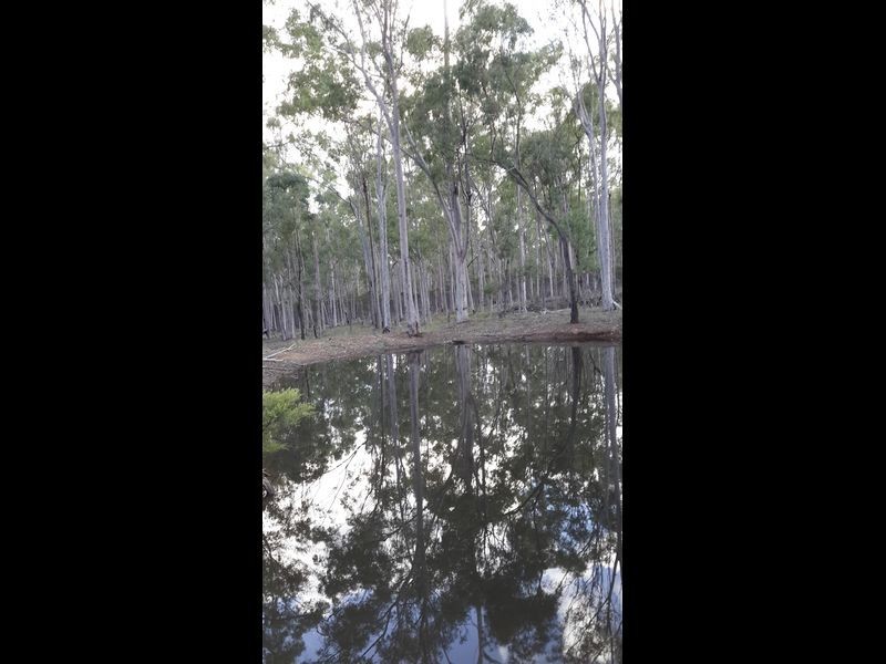 161 Greenview Road, Wondai QLD 4606