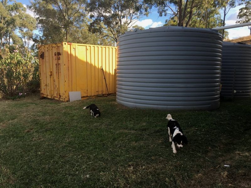 381 Parker Road, Ellesmere QLD 4610