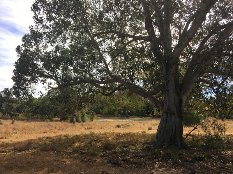 142 Blanchs Road, Proston QLD 4613