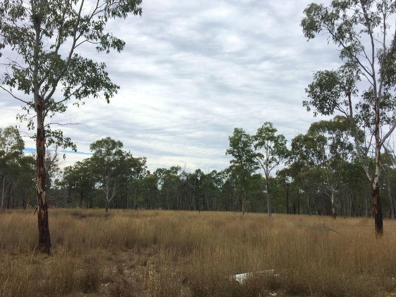 146 Lewis Duff Road, Ballogie QLD 4610