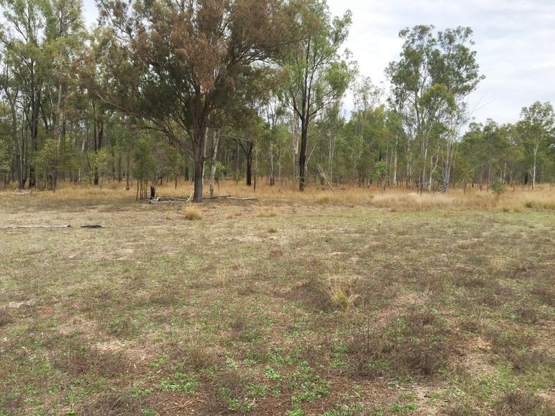 146 Lewis Duff Road, Ballogie QLD 4610