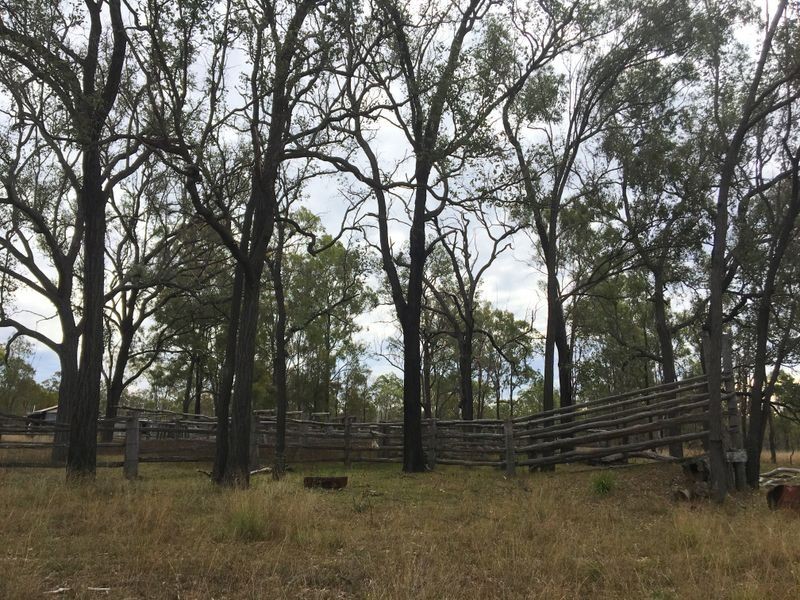 146 Lewis Duff Road, Ballogie QLD 4610