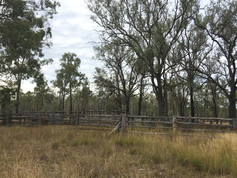 146 Lewis Duff Road, Ballogie QLD 4610