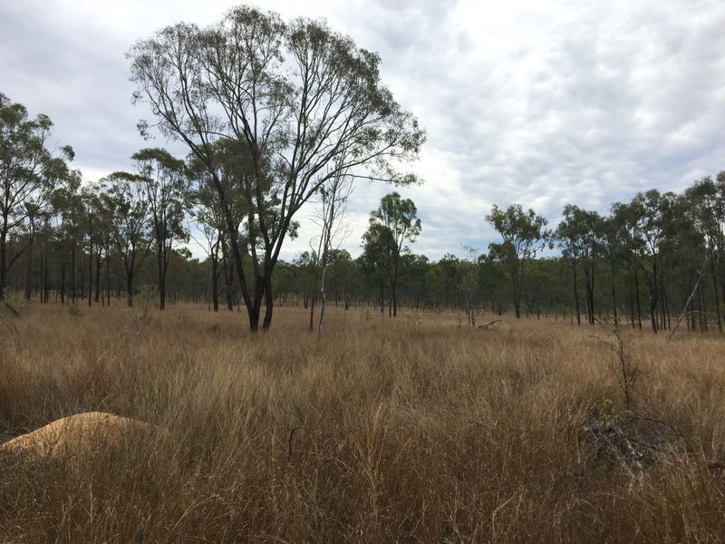 146 Lewis Duff Road, Ballogie QLD 4610