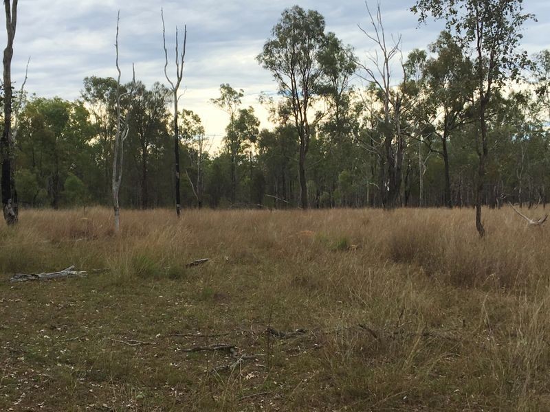 146 Lewis Duff Road, Ballogie QLD 4610