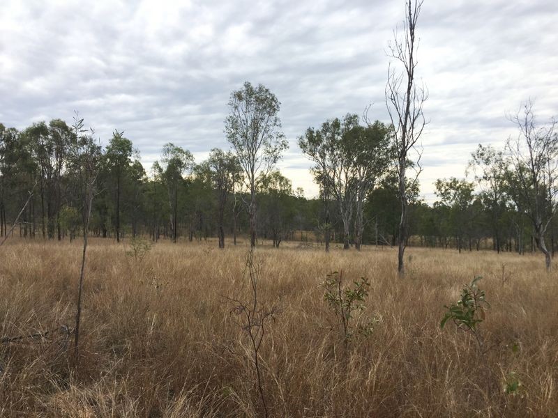 146 Lewis Duff Road, Ballogie QLD 4610