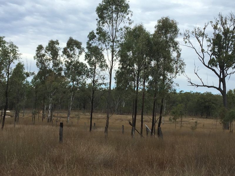 146 Lewis Duff Road, Ballogie QLD 4610