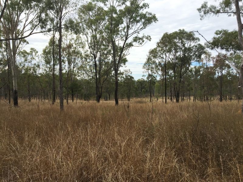 146 Lewis Duff Road, Ballogie QLD 4610