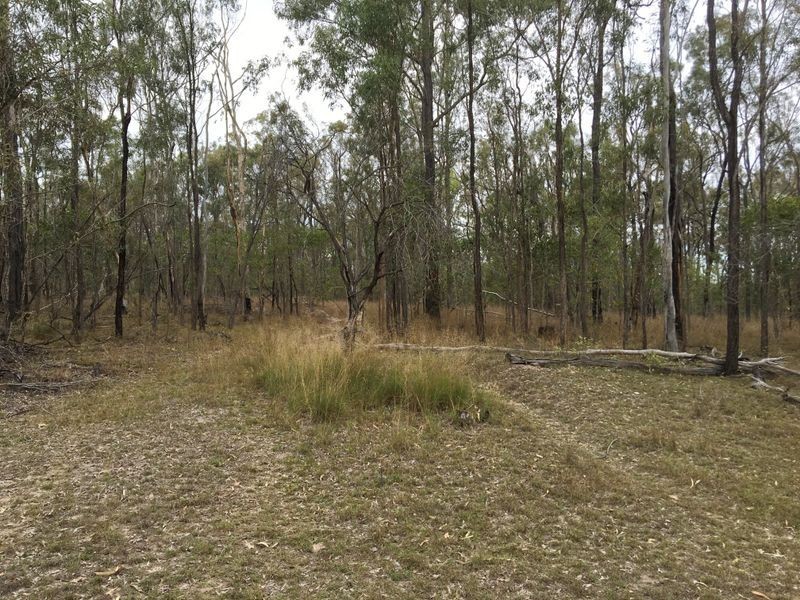 146 Lewis Duff Road, Ballogie QLD 4610