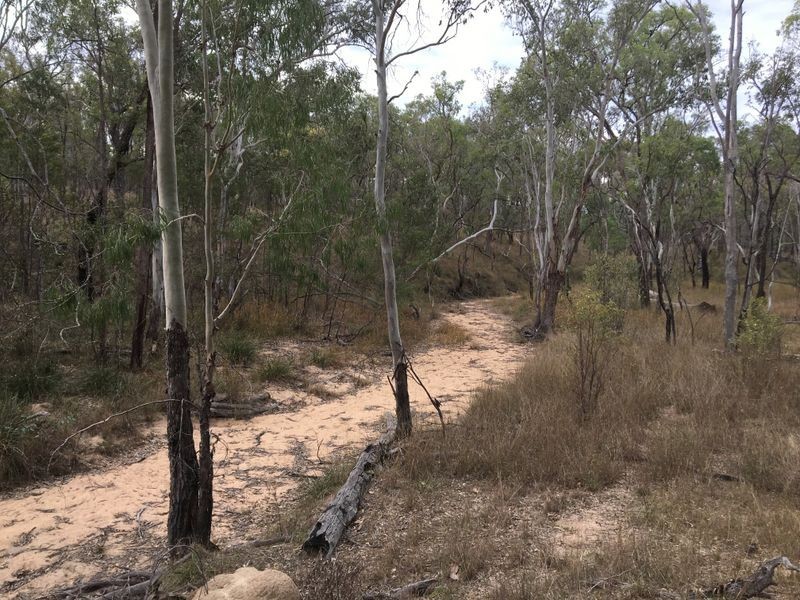 146 Lewis Duff Road, Ballogie QLD 4610