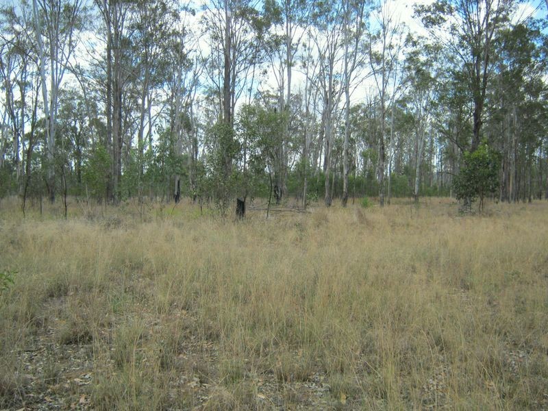 Lot 1 Wattlecamp Road, Wattle Camp QLD 4615