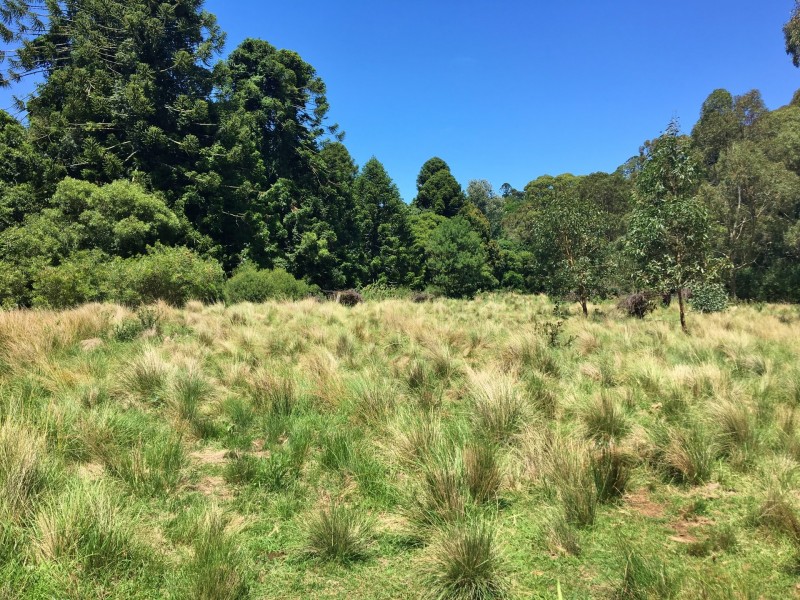 Lots 136-1 Sheedy Street, Bunya Mountains QLD 4405