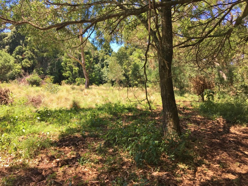 Lots 136-1 Sheedy Street, Bunya Mountains QLD 4405