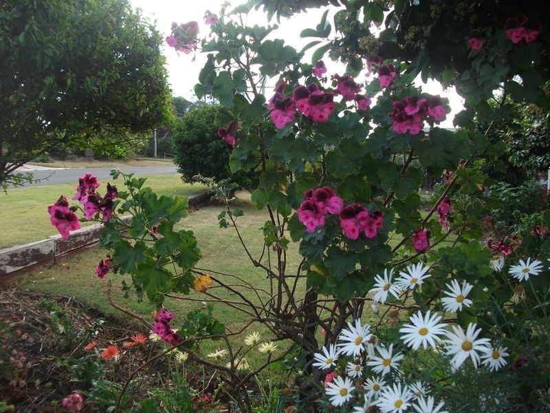 98-100 Moore Street, Kingaroy QLD 4610